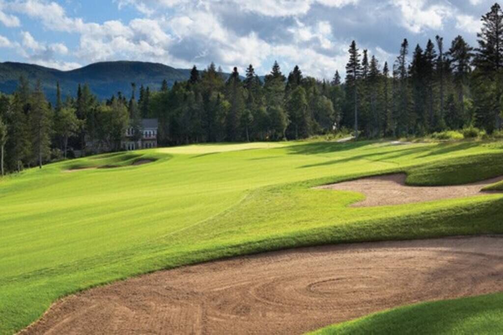 Photo of Others in Humber Valley
