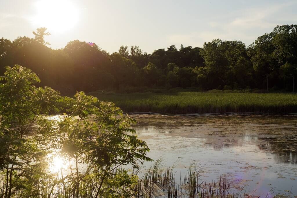 Photo of Outdoor in Milford