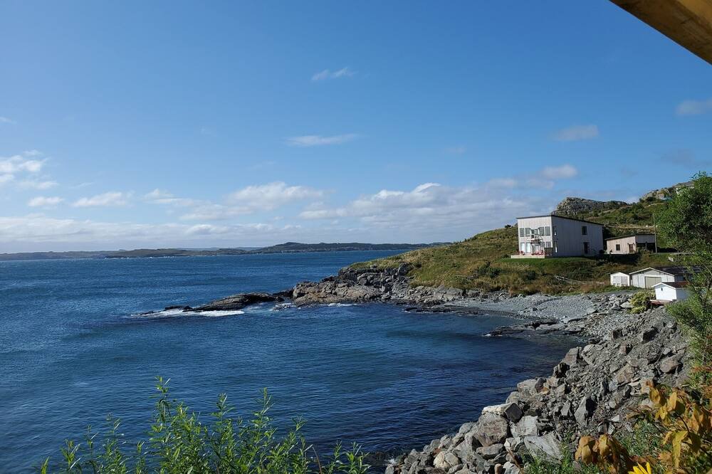 Photo of Others in Terra Nova