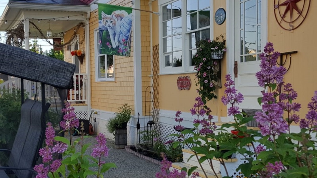 Photo of Outdoor in Macamic