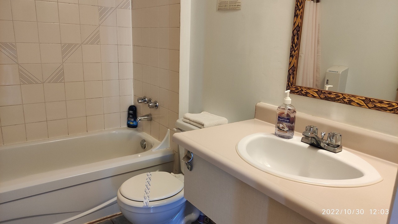 Photo of Bathroom in Laurier-Station