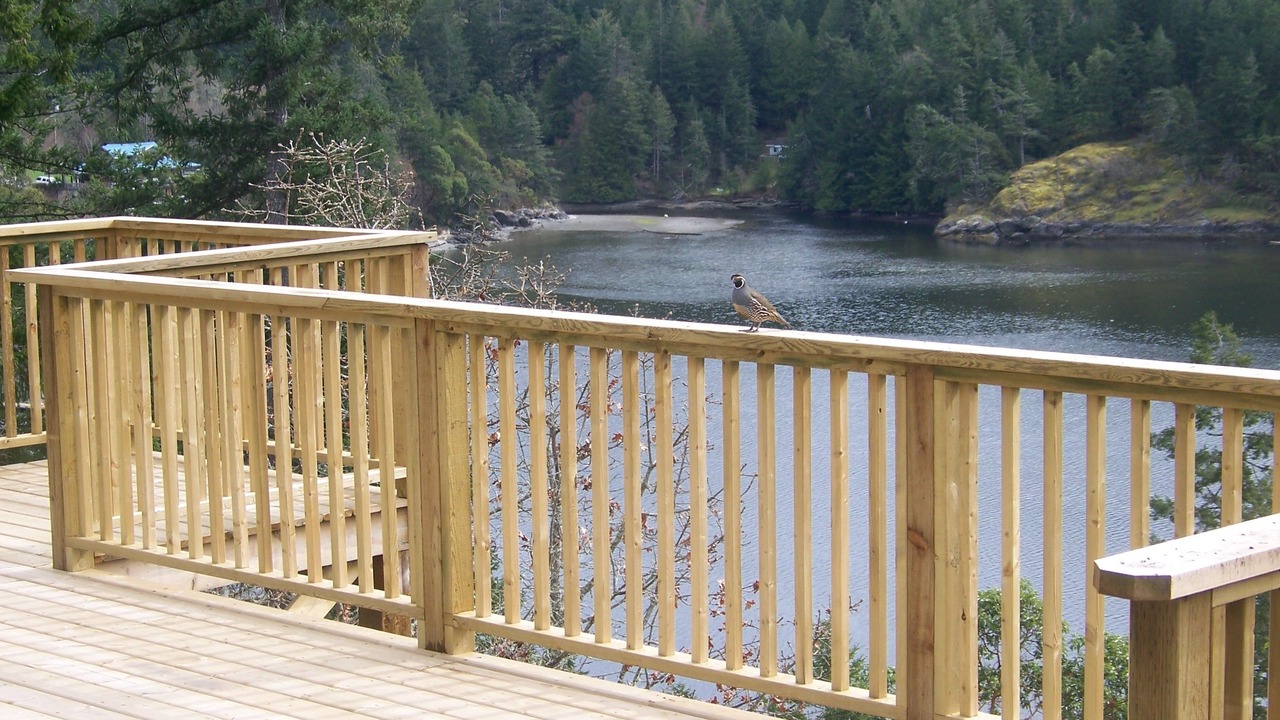 Photo of Others in Sooke