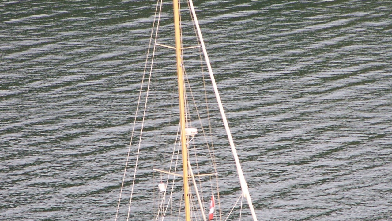 Photo of Others in Sooke