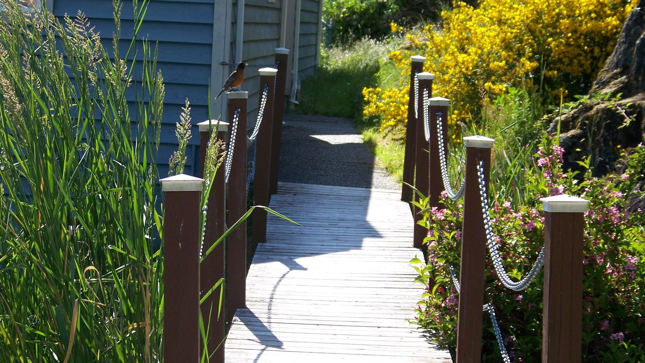 Photo of Outdoor in Sooke