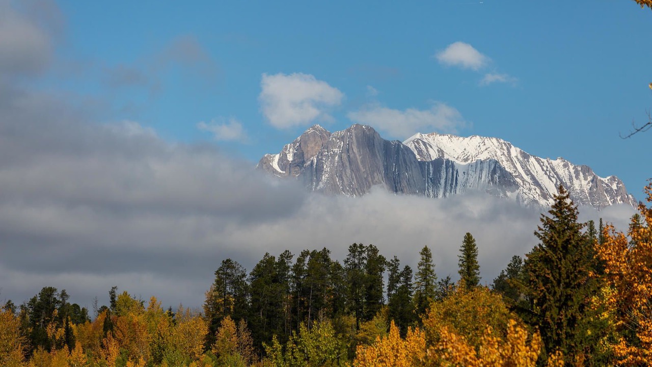 Photo of Others in East Kootenay