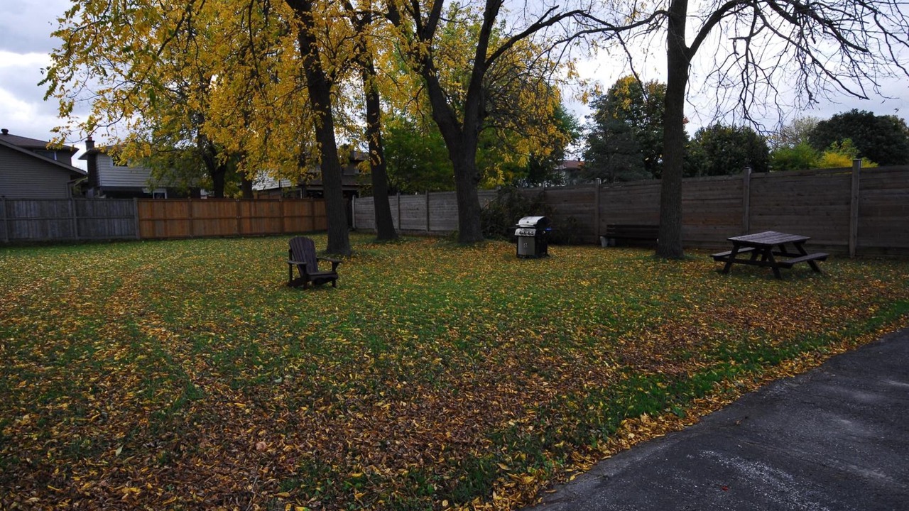 Photo of Outdoor in Port Elgin