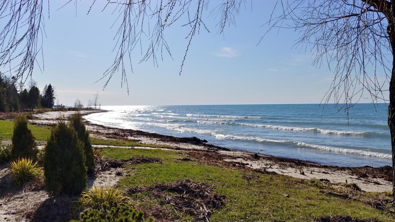 Photo of Others in Port Elgin