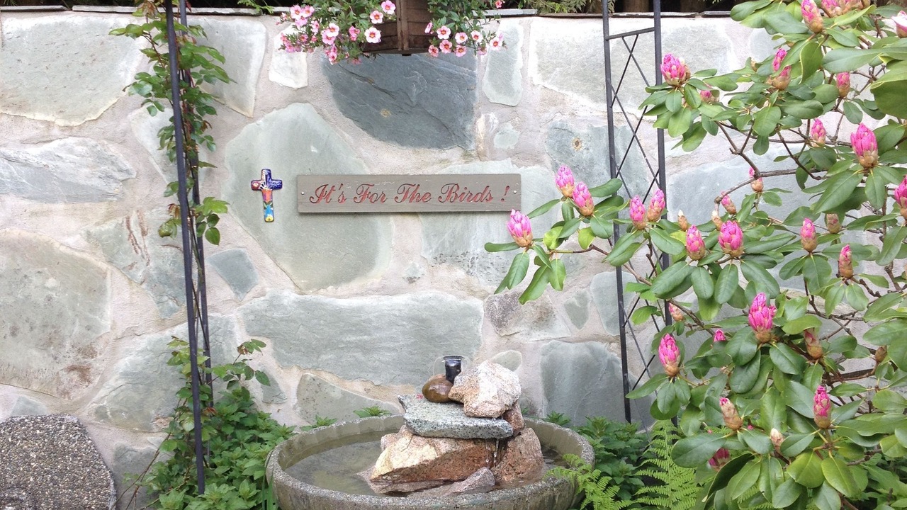 Photo of Outdoor in Richmond