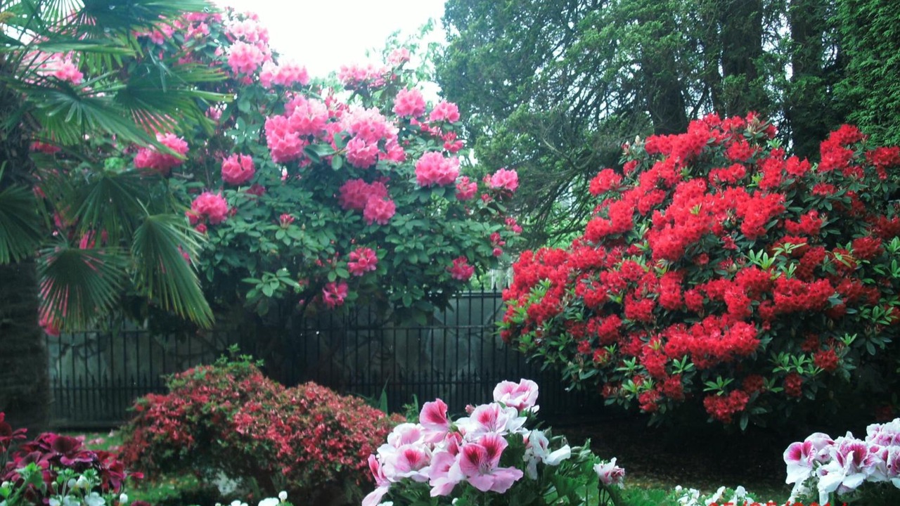 Photo of Outdoor in Richmond
