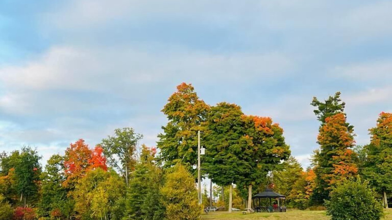 Photo of Outdoor in Calabogie