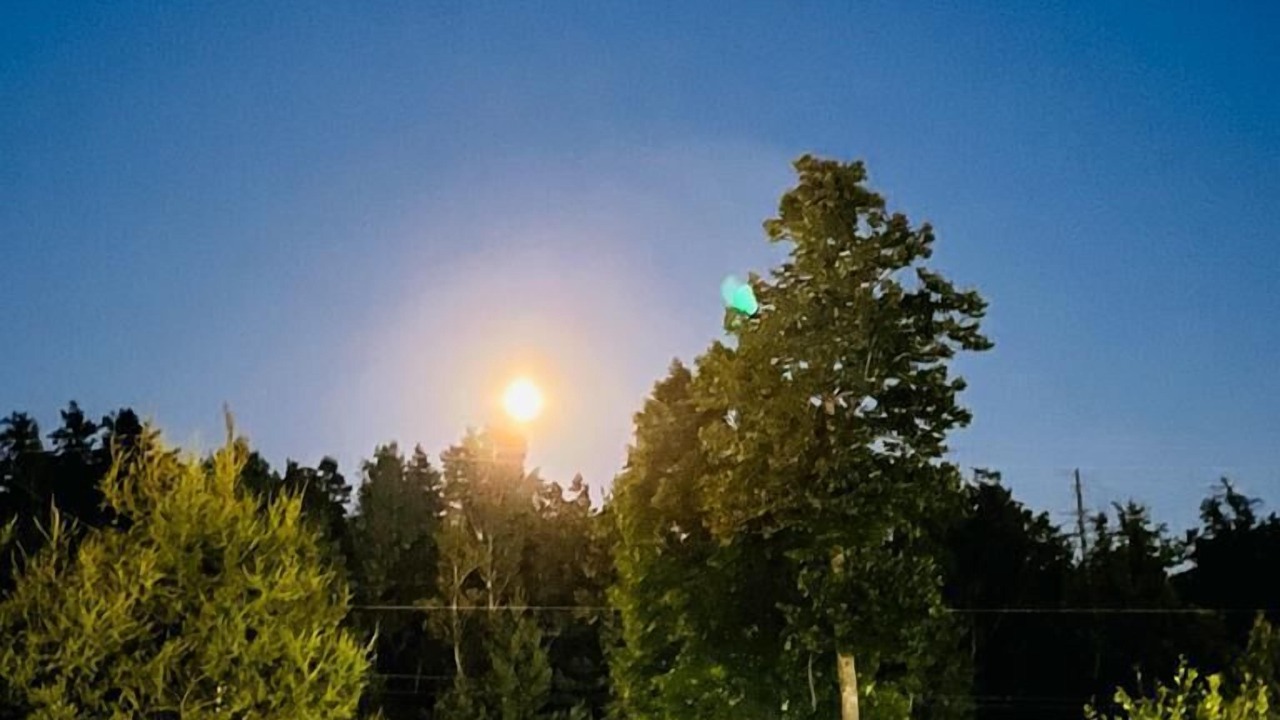 Photo of Outdoor in Calabogie