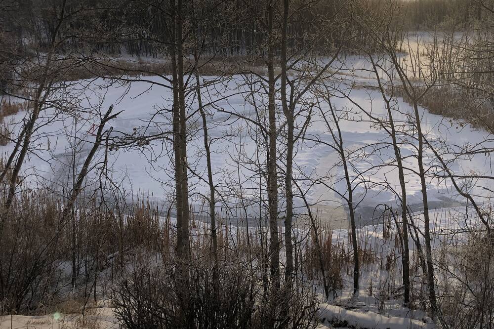 Photo of Others in Calgary
