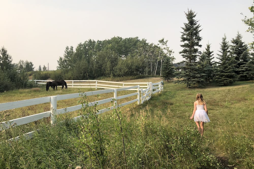 Photo of Others in Calgary