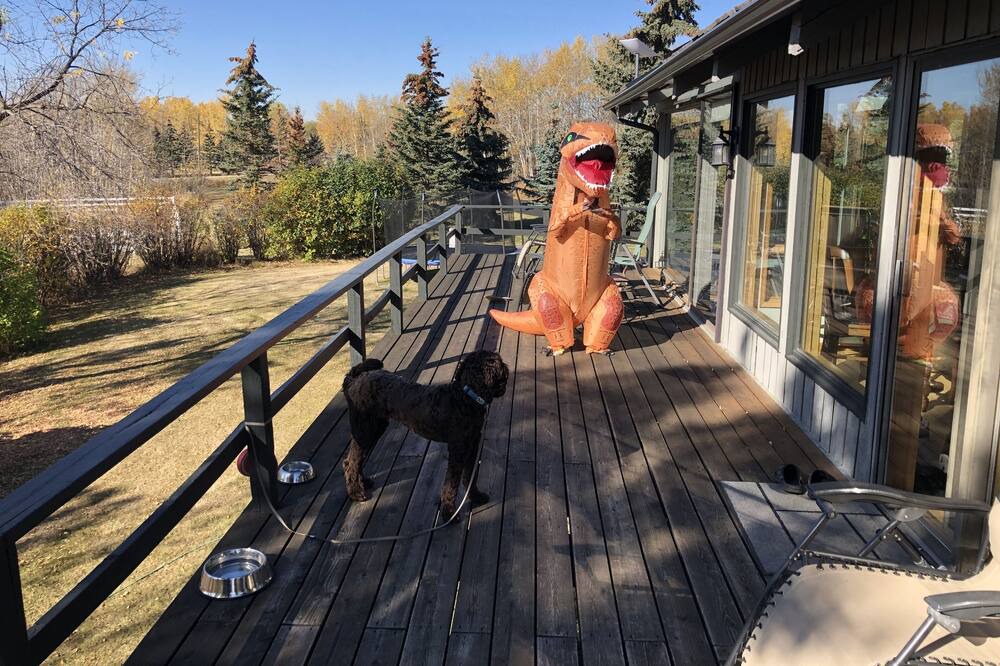 Photo of Outdoor in Calgary