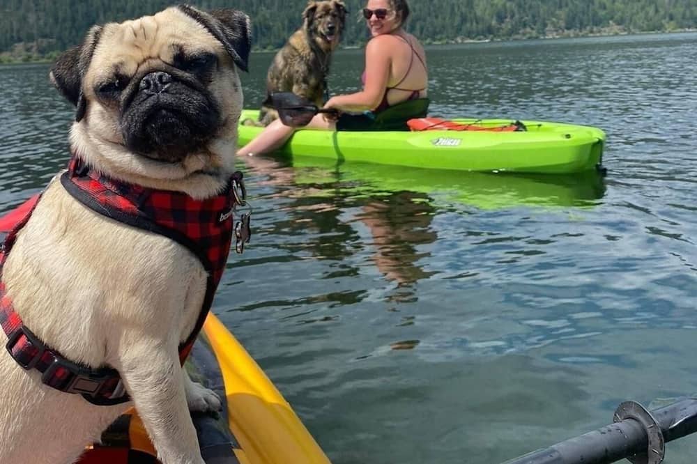 Photo of Others in Salmon Arm