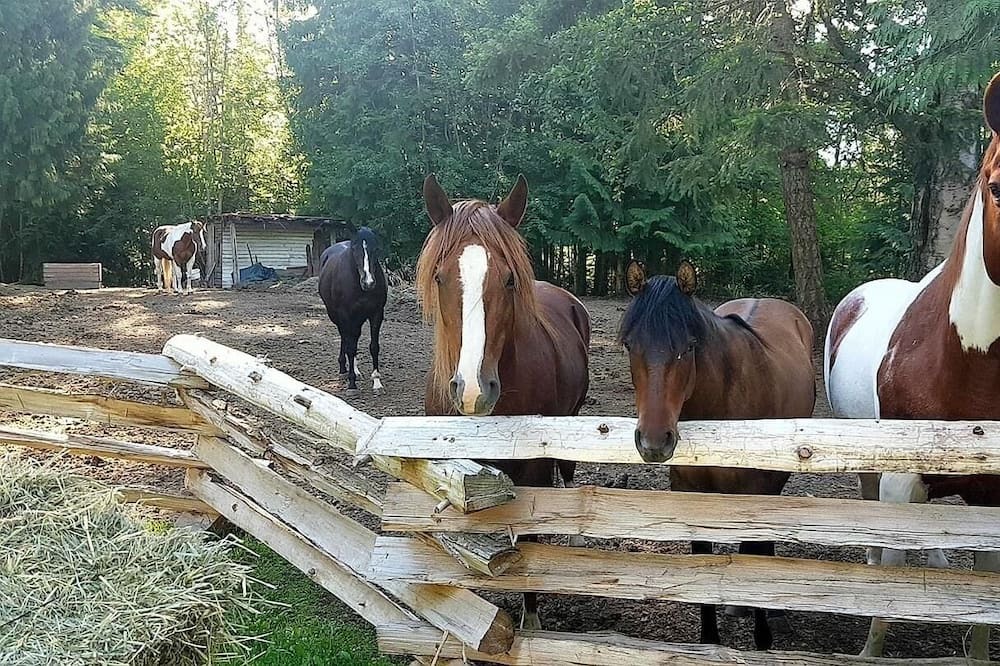 Photo of Outdoor in Salmon Arm