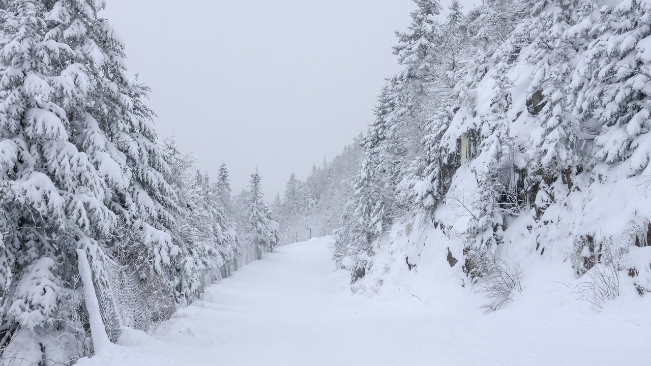 Photo of Others in Magog