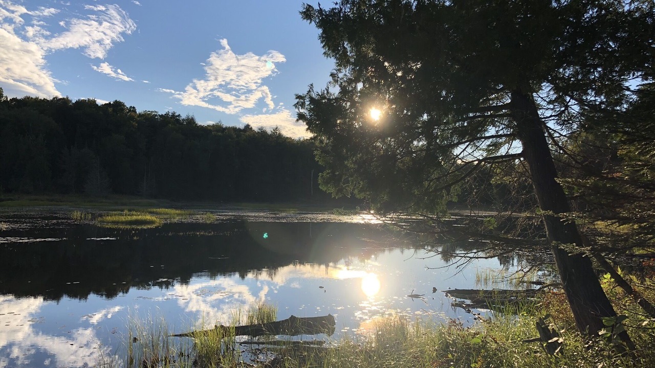 Photo of Outdoor in Labelle
