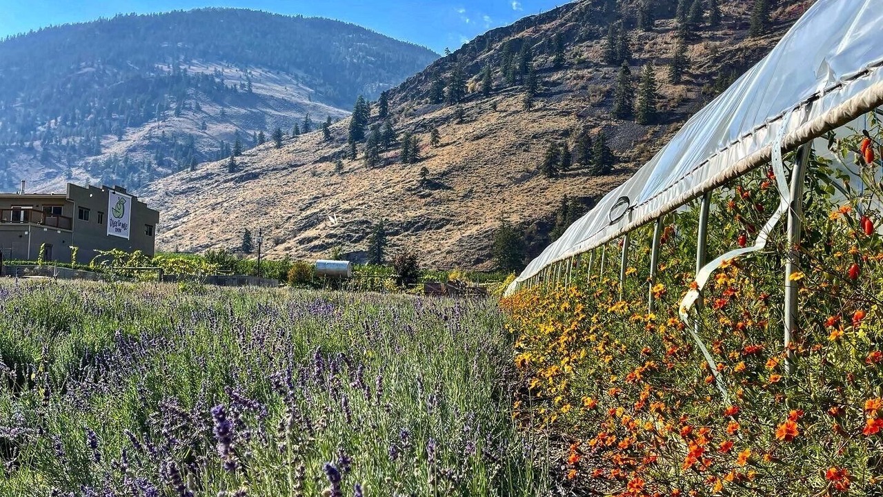 Photo of Outdoor in Okanagan-Similkameen