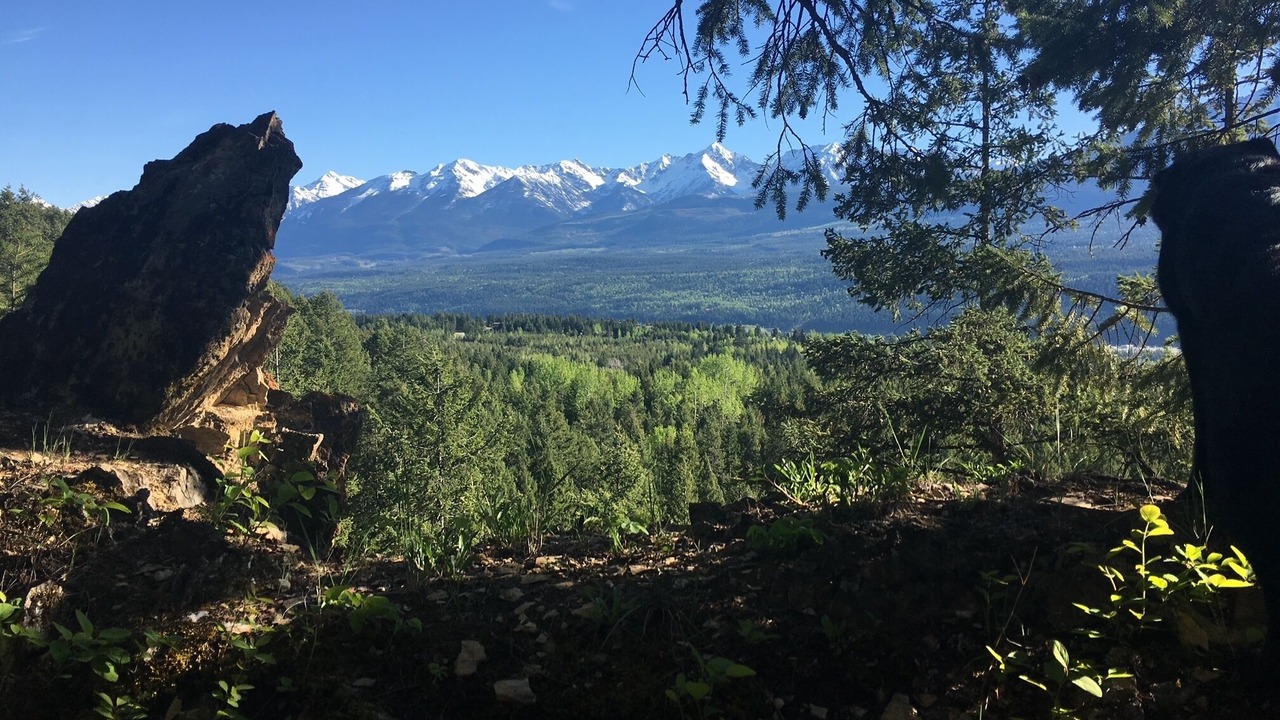 Photo of Others in Golden