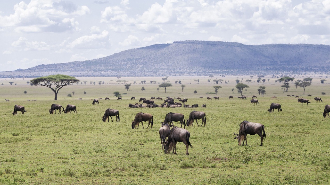 Photo of Bedroom in Ngorongoro Conservation Area