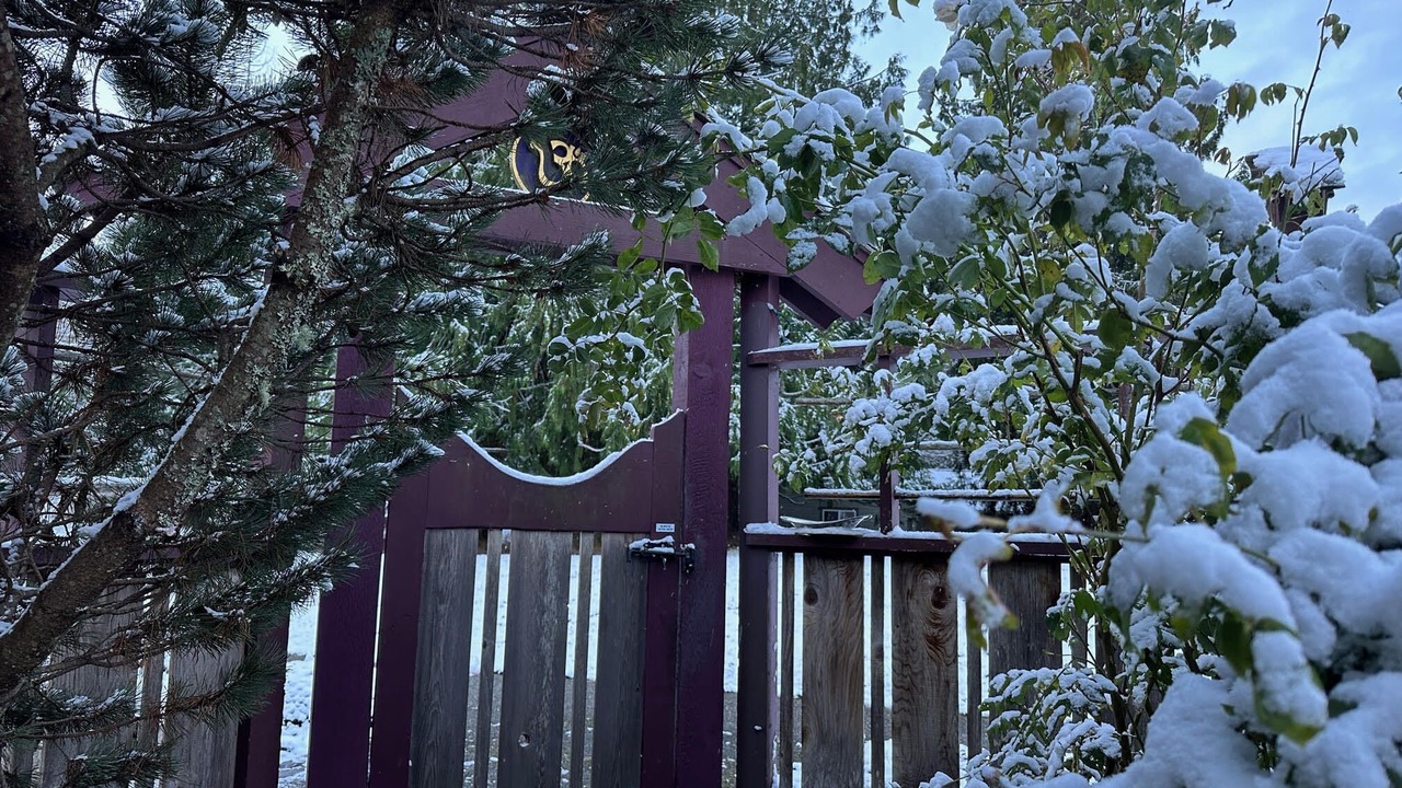 Photo of Outdoor in Salt Spring Island