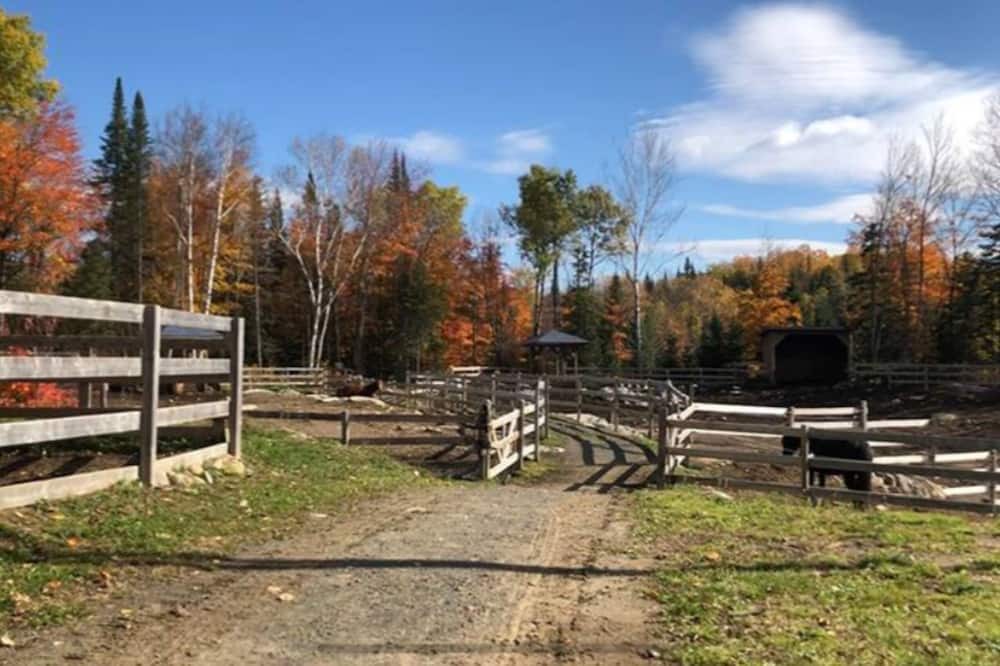 Photo of Others in Sainte-Marguerite-du-Lac-Masson