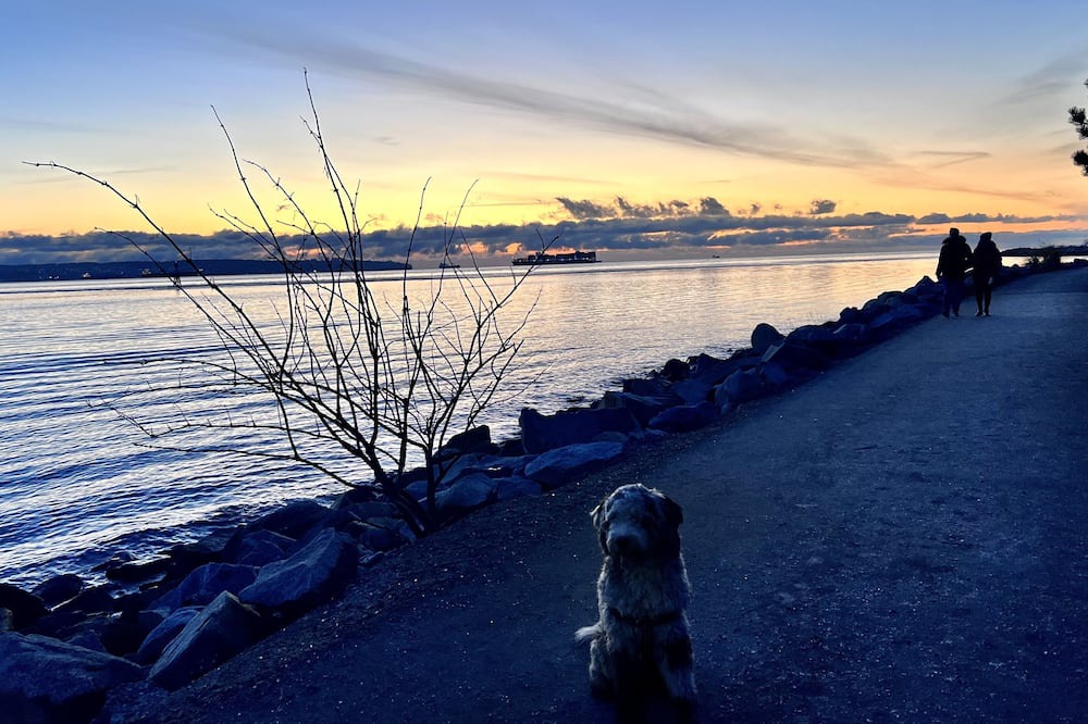Photo of Others in West Vancouver