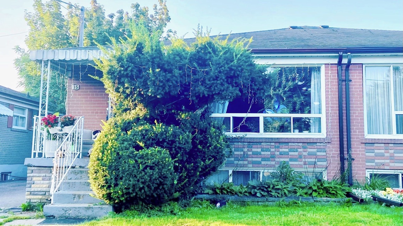 Photo of Outdoor in Woodbine Gardens