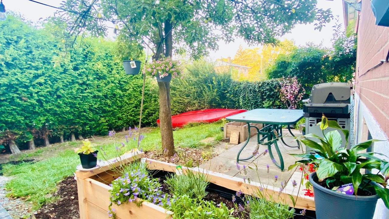 Photo of Outdoor in Woodbine Gardens