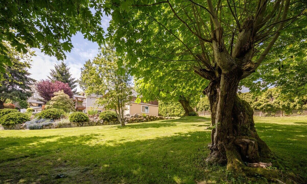 Photo of Outdoor in Departure Bay