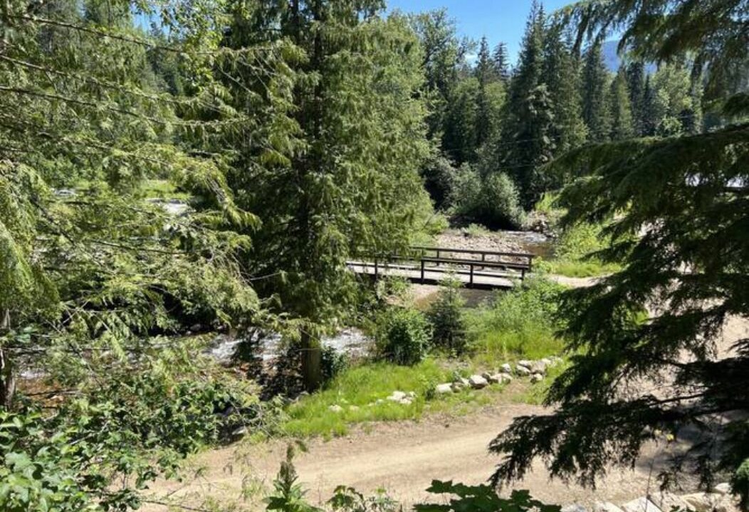 Photo of Outdoor in Crescent Valley