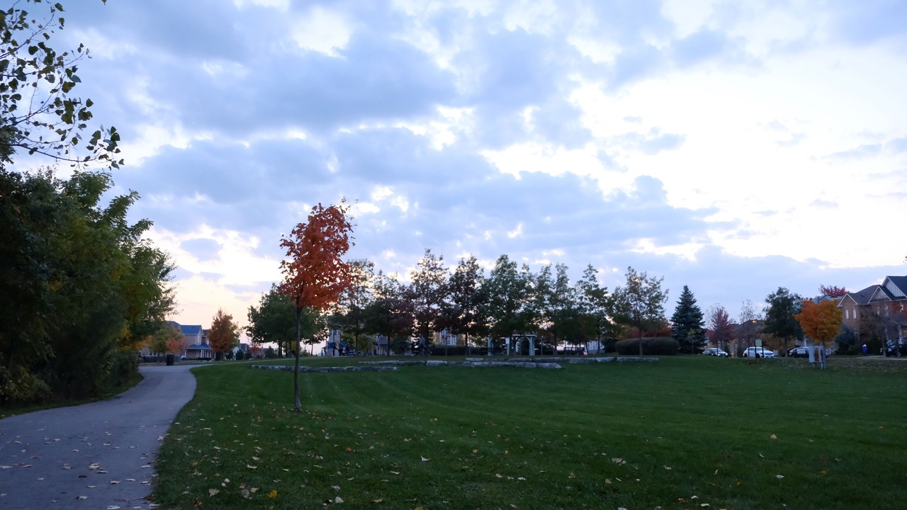 Photo of Others in Markham