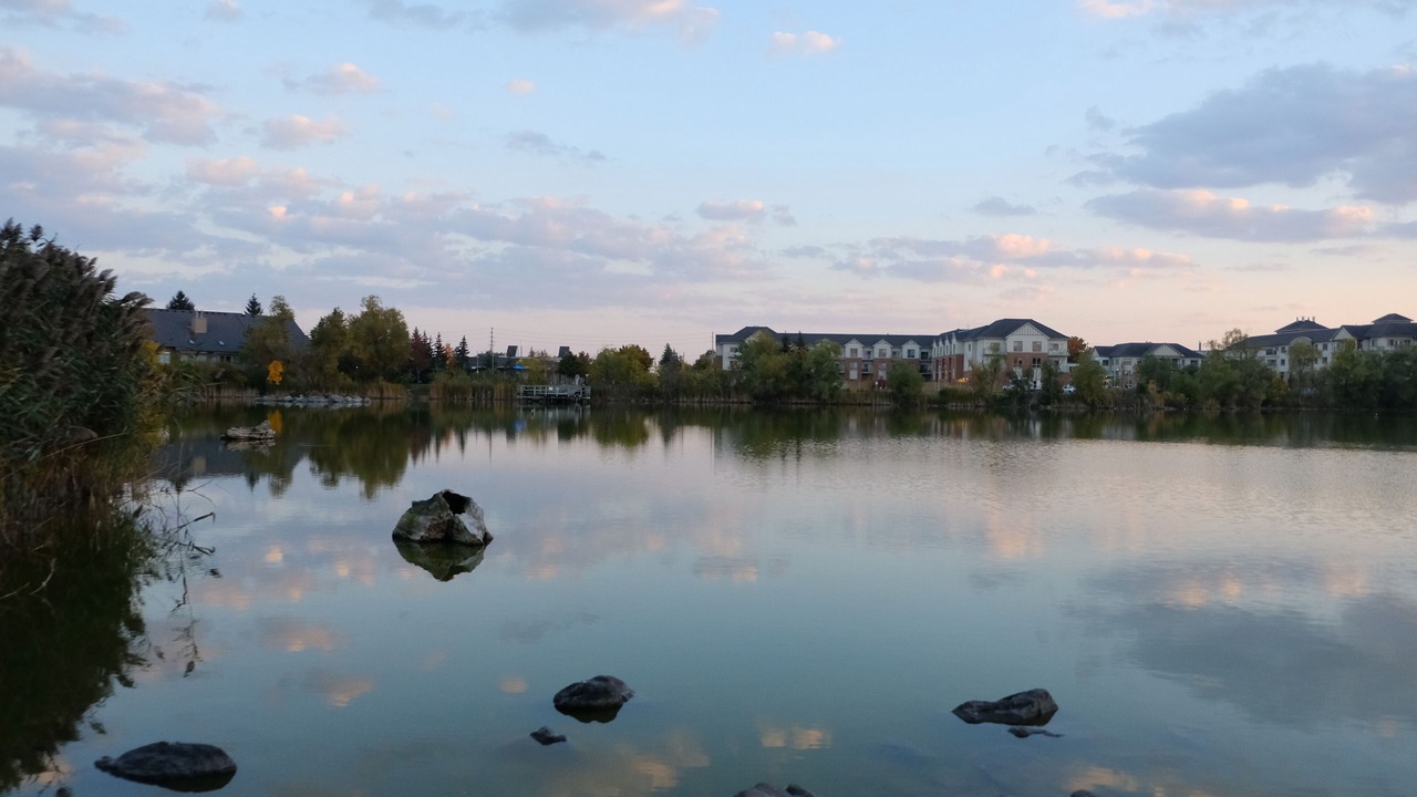 Photo of Others in Markham