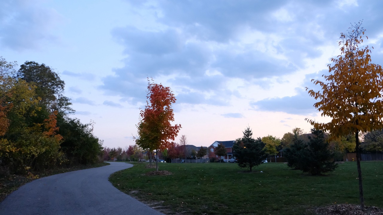 Photo of Others in Markham