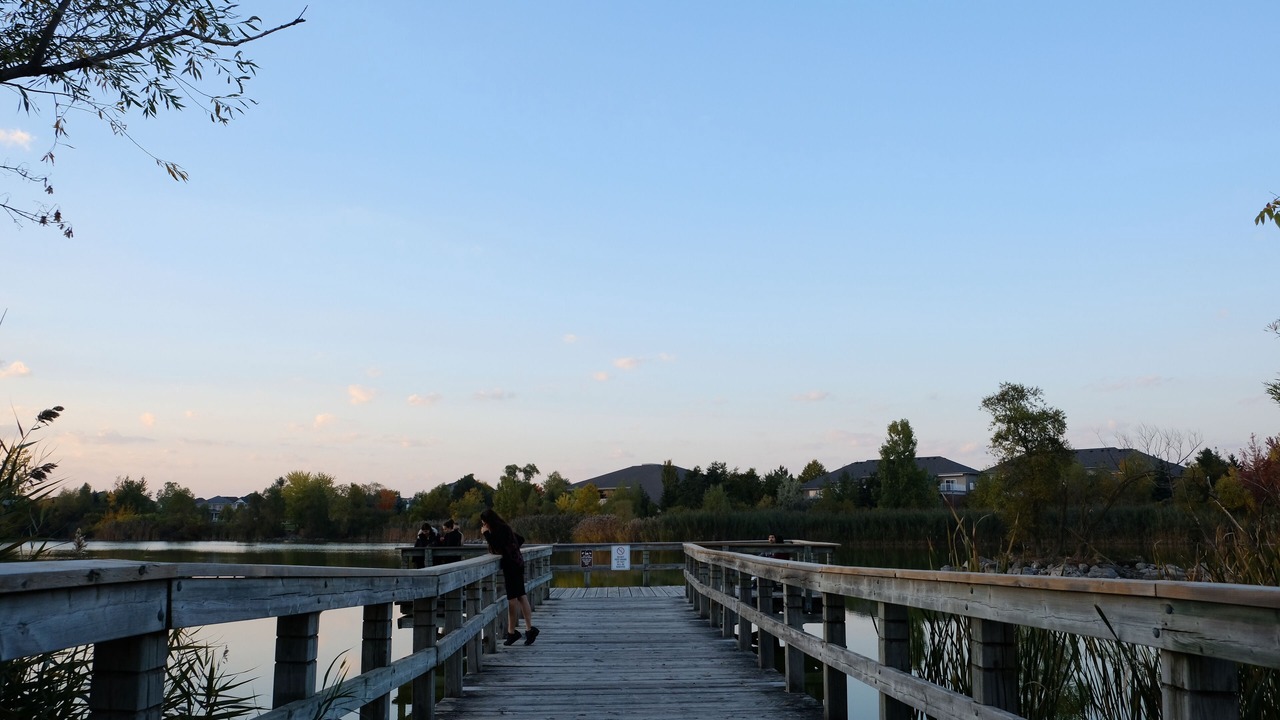 Photo of Others in Markham