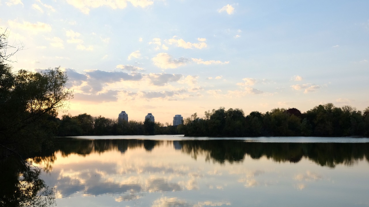 Photo of Others in Markham