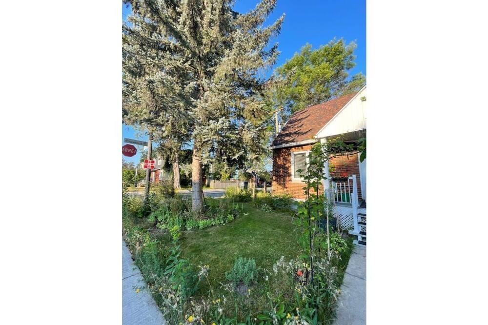 Photo of Outdoor in Montreal