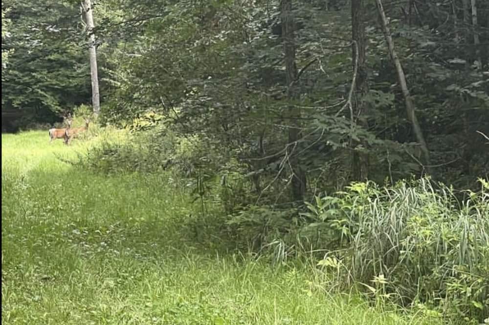 Photo of Others in Bromont