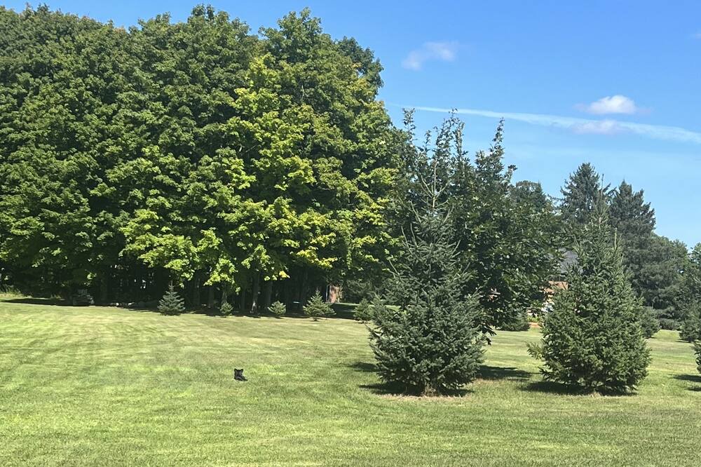 Photo of Others in Bromont