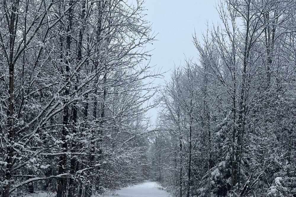 Photo of Others in Bromont