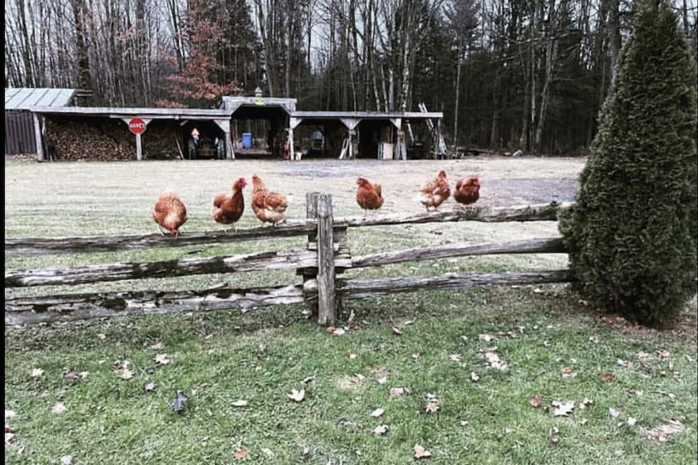 Photo of Others in Bromont