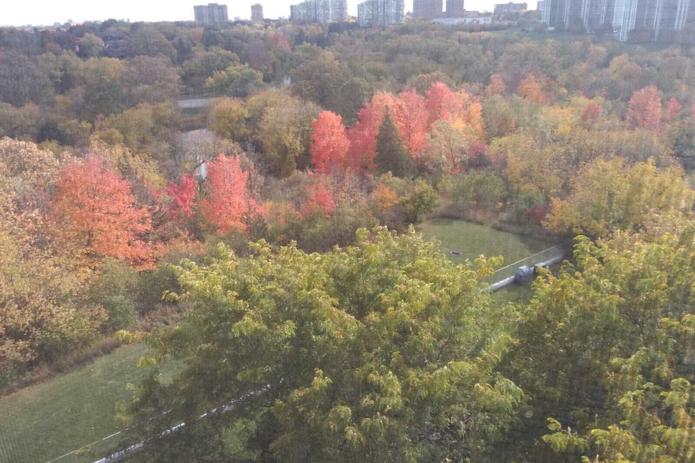 Photo of Others in North York