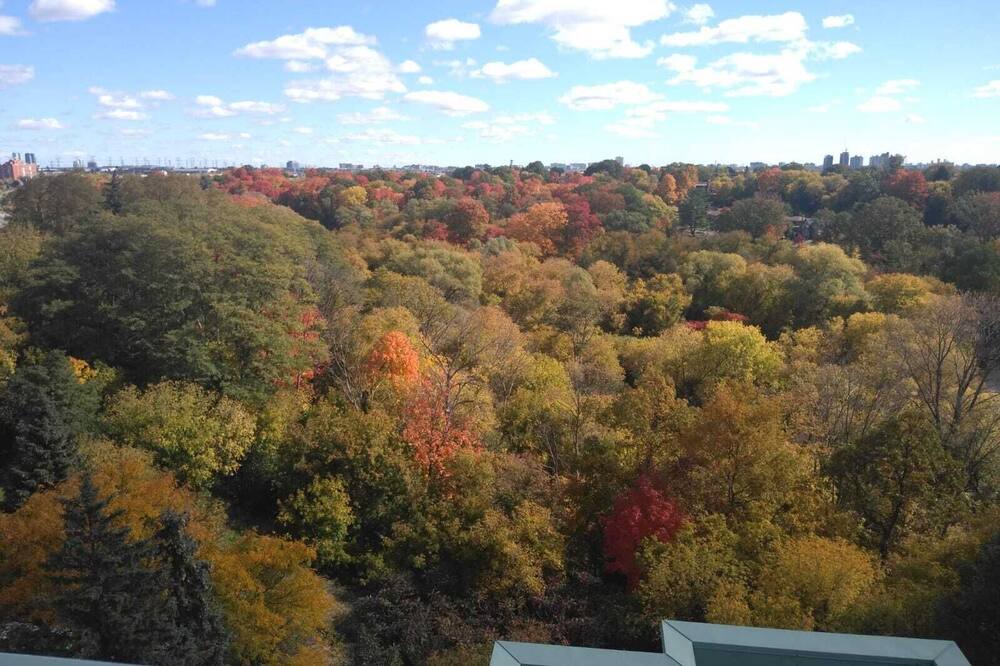 Photo of Others in North York