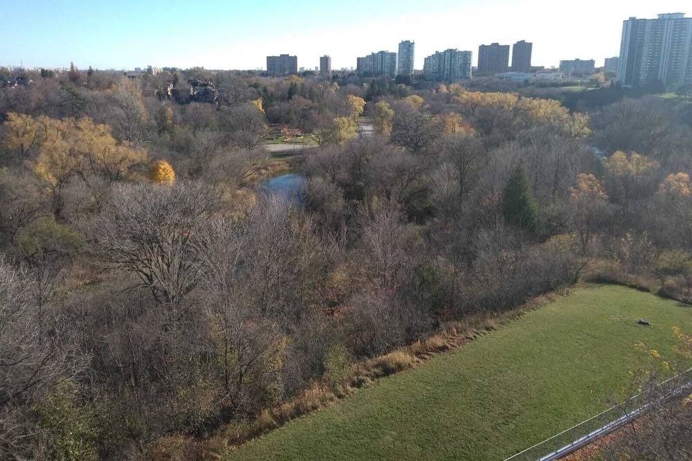 Photo of Others in North York