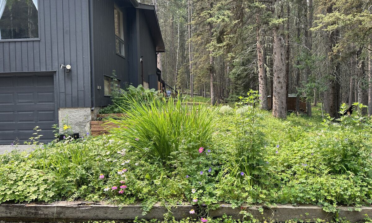Photo of Outdoor in Bragg Creek