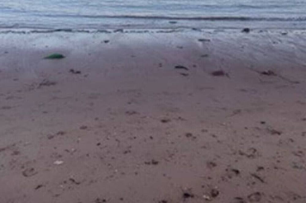 Photo of Others in Souris