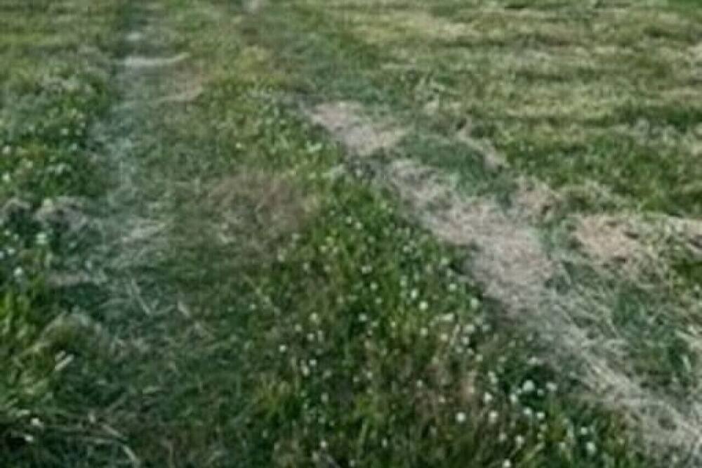 Photo of Others in Souris