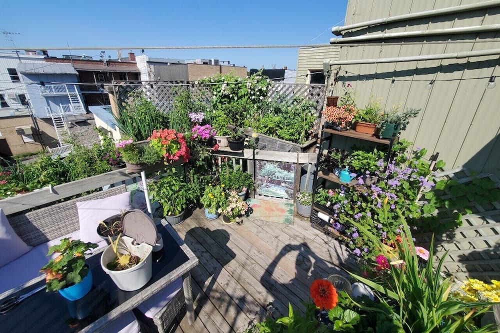Photo of Outdoor in Joliette