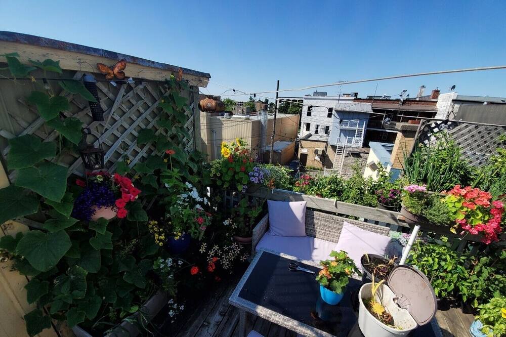 Photo of Outdoor in Joliette